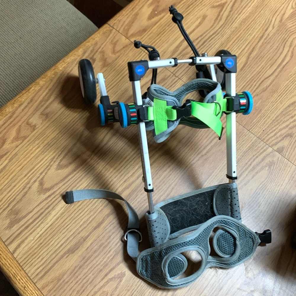 Wheel chair for small dog or cat. Barely used.